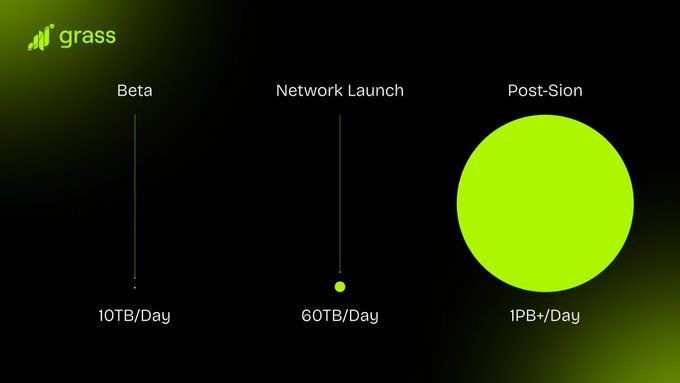 Grass Network